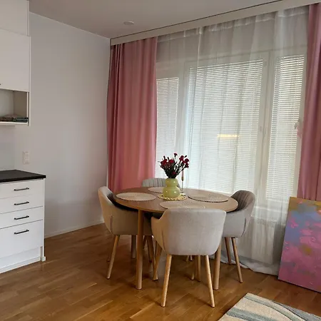 Comfy Home, Moottorisaenky, Wifi, Kuivausrumpu Apartment