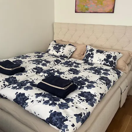 Lejlighed Comfy Home, Moottorisaenky, Kuivausrumpu