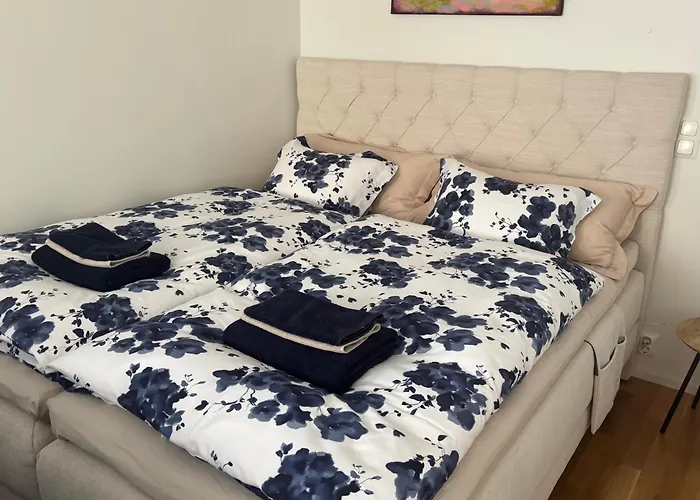 公寓 Comfy Home, Moottorisaenky, Kuivausrumpu, Wifi